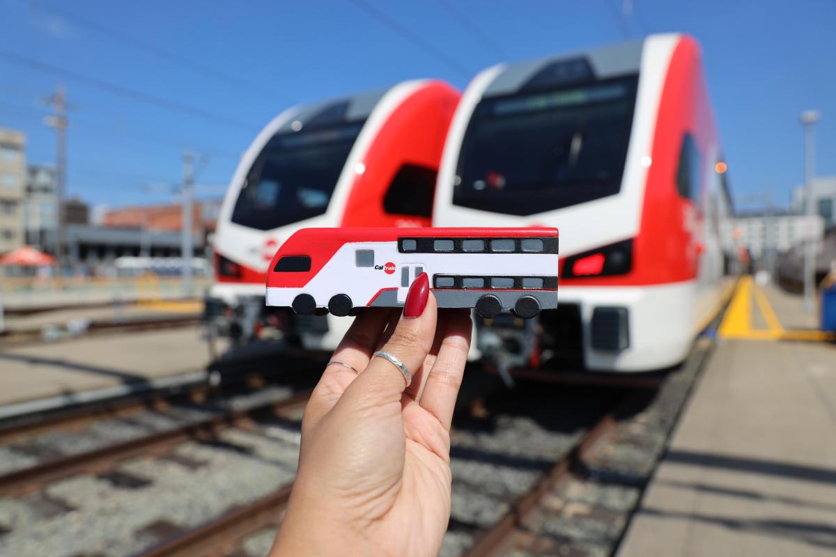 Closeup of squishy train with new EMUs in background